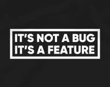 Худи программиста «It's not a bug, it's a feature», с текстом